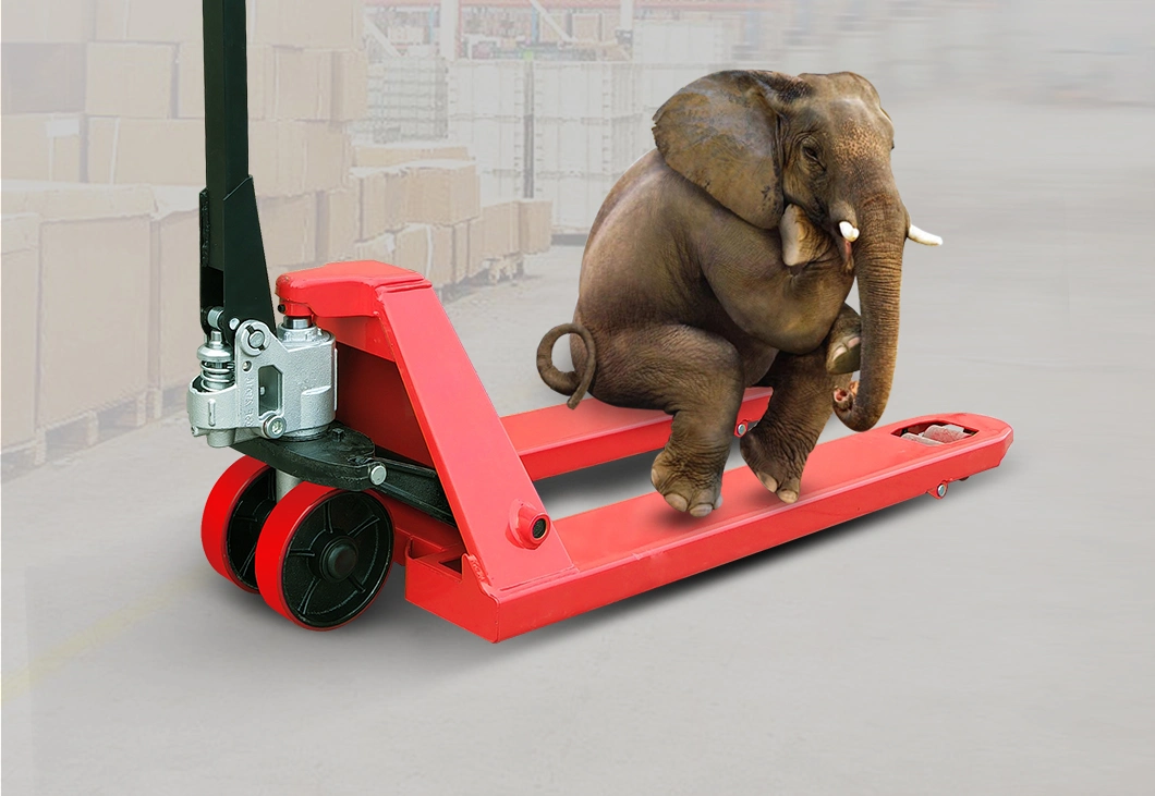 2 Ton 3 Ton 5 Ton Hydraulic Hand Pallet Truck with High Quality Pump